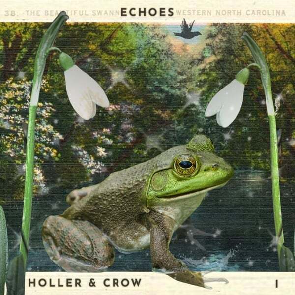 Cover art for Echoes